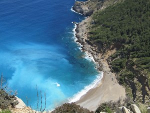 IMG_6654 (Medium)